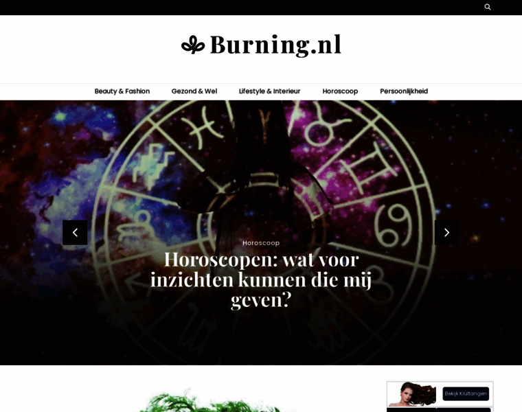 Burnin.nl thumbnail