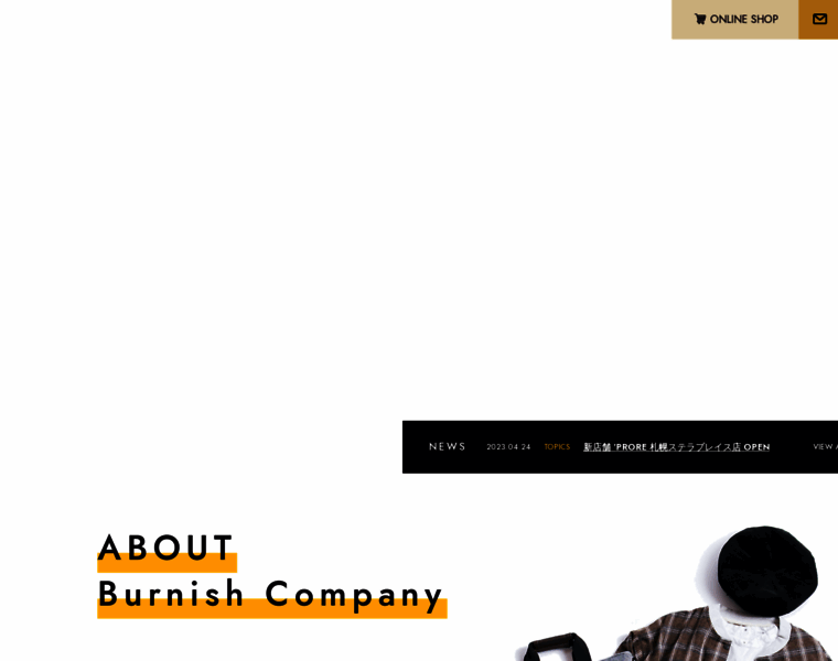 Burnish-company.com thumbnail