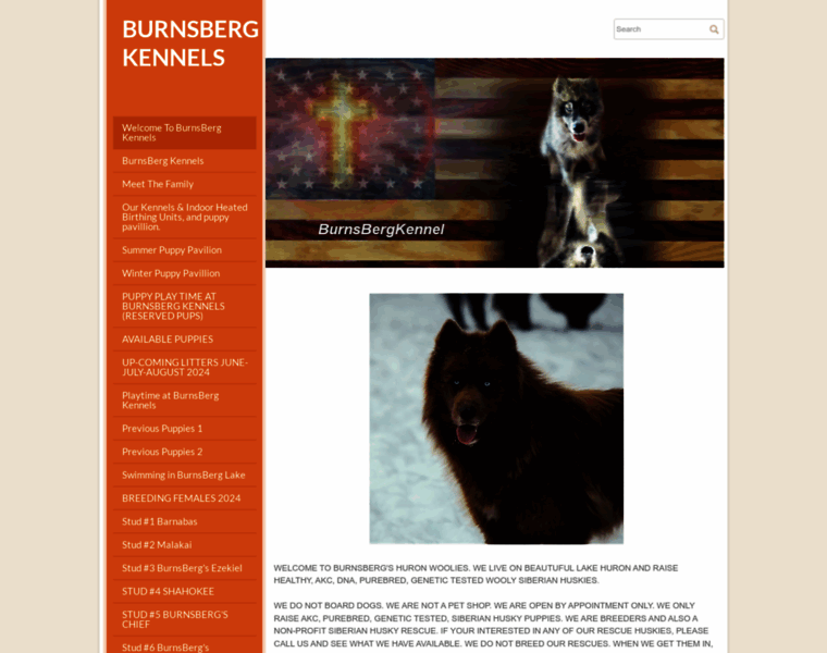 Burnsbergkennels.com thumbnail