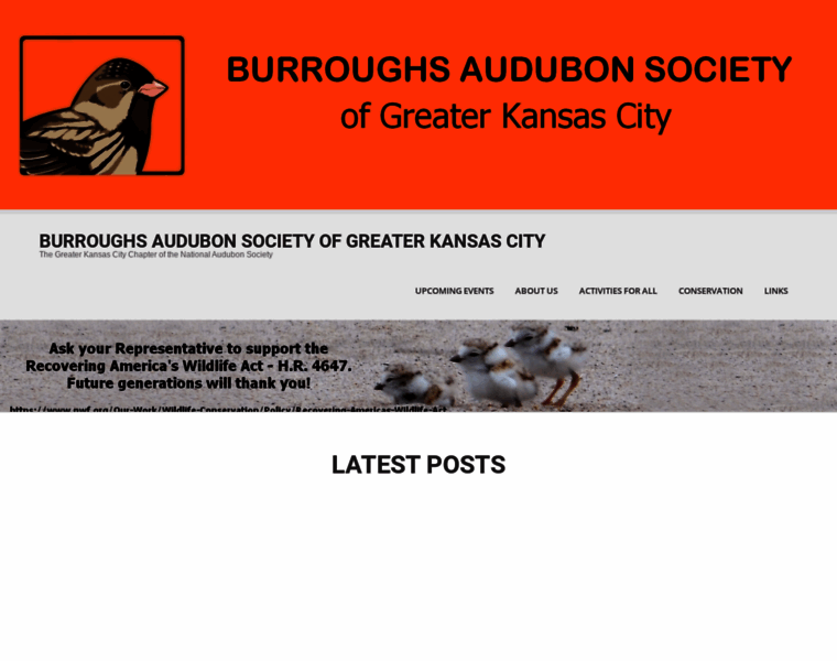 Burroughs.org thumbnail