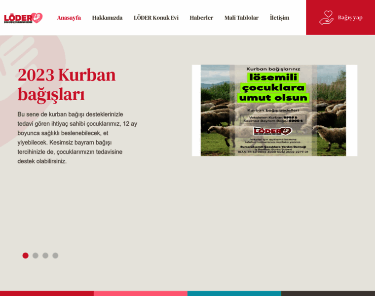 Bursaloder.org thumbnail
