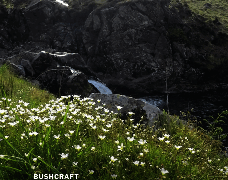 Bushcraft-scotland.com thumbnail