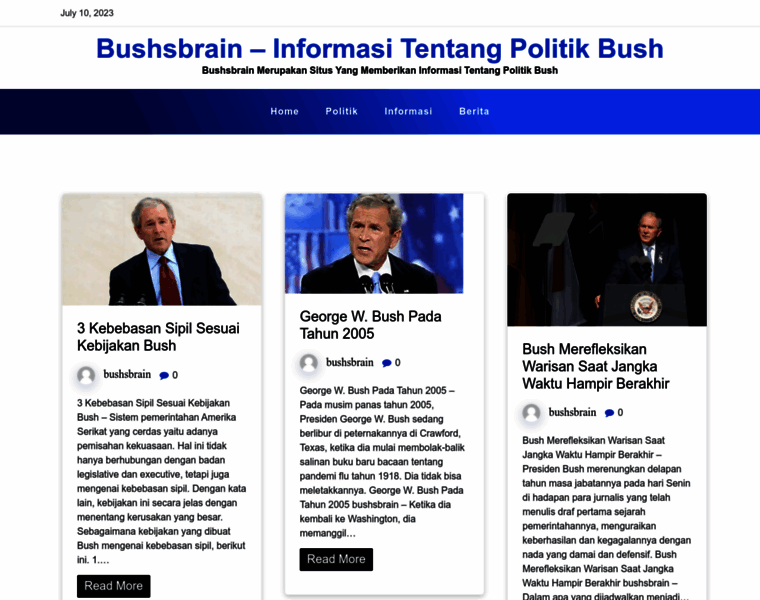 Bushsbrain.com thumbnail