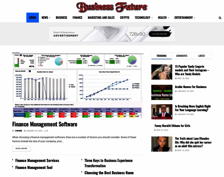 Businessfuture.net thumbnail