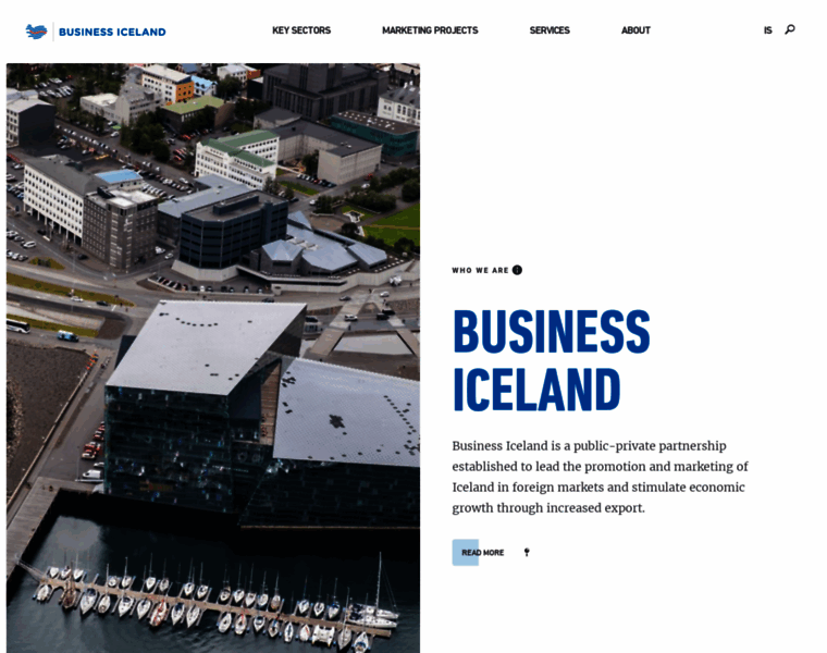 Businessiceland.is thumbnail
