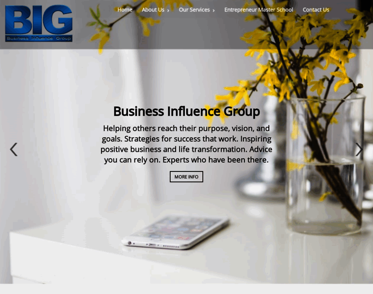 Businessinfluencegroup.com thumbnail