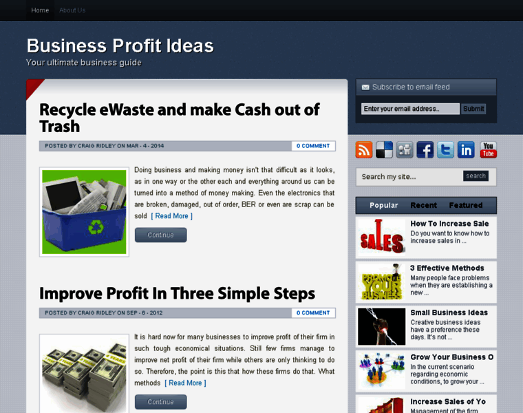 Businessprofitideas.com thumbnail