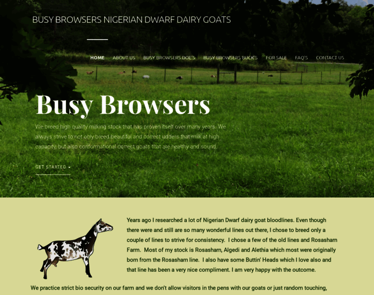 Busybrowsers.com thumbnail