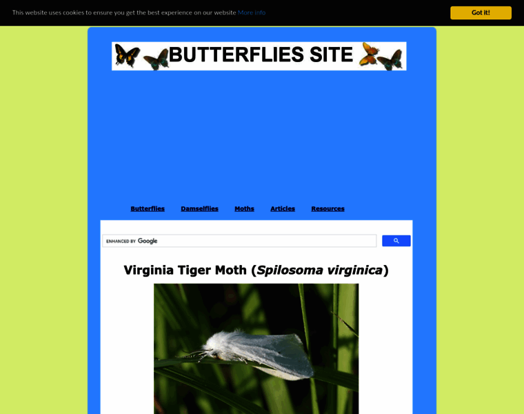 Butterfliessite.com thumbnail