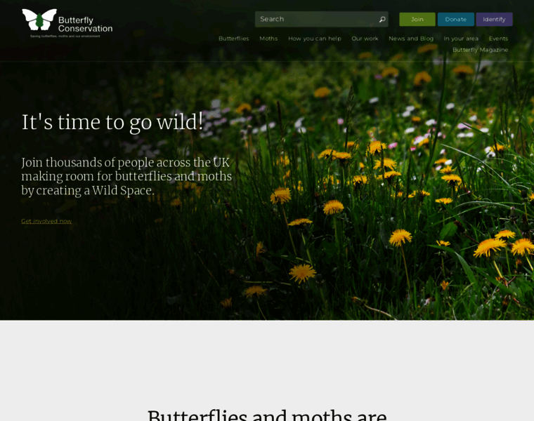 Butterfly-conservation.org thumbnail