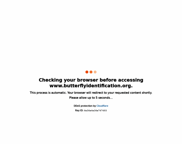 Butterflyidentification.org thumbnail
