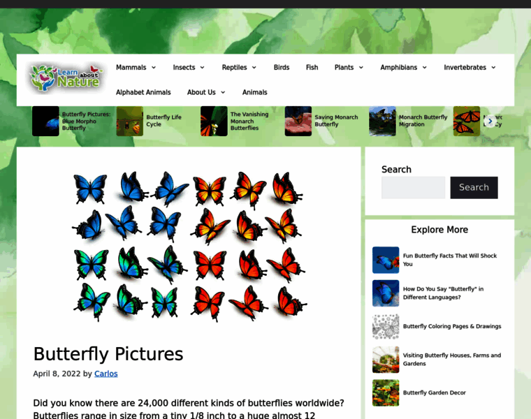 Butterflypictures.net thumbnail