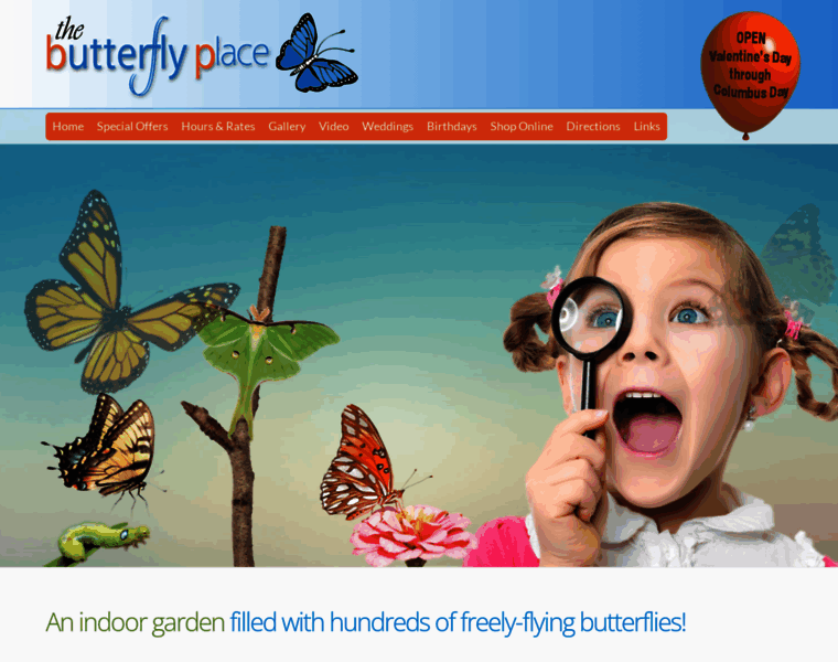 Butterflyplace-ma.com thumbnail