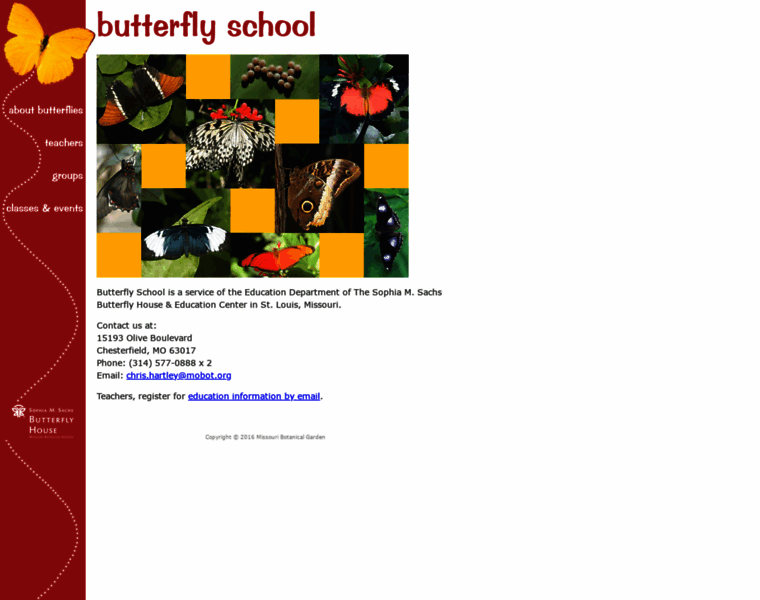 Butterflyschool.org thumbnail