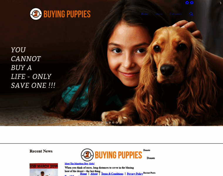 Buyingpuppies.com thumbnail