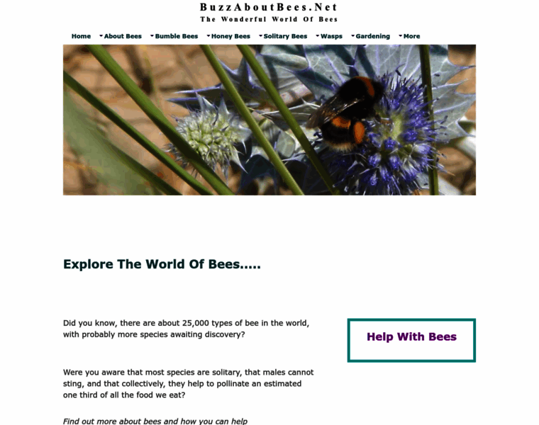 Buzz-about-bees.com thumbnail