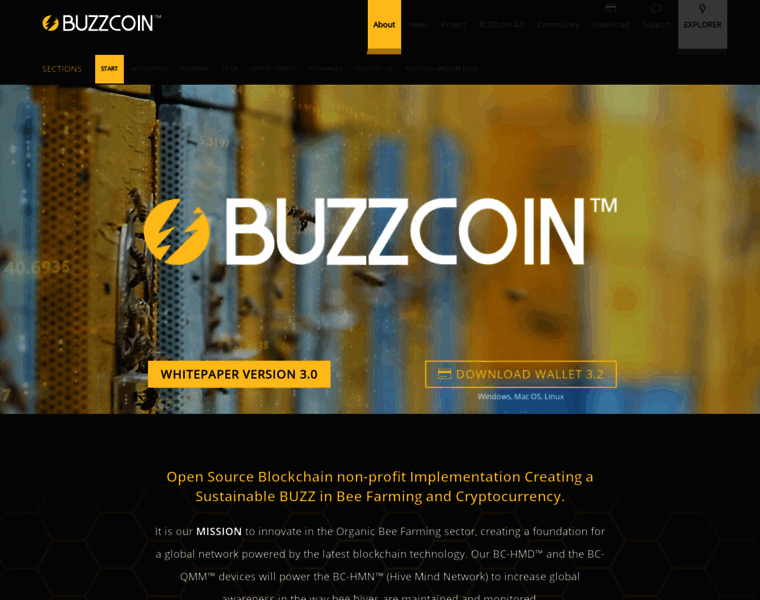 Buzzcoin.info thumbnail