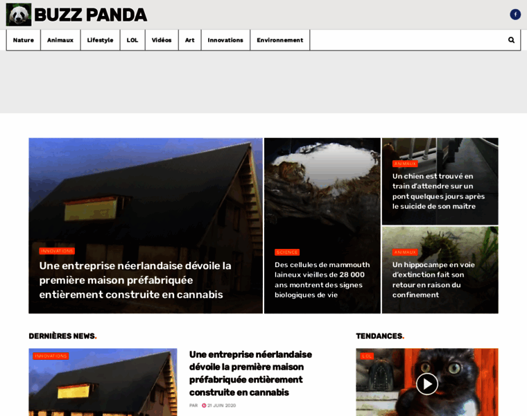 Buzzpanda.fr thumbnail