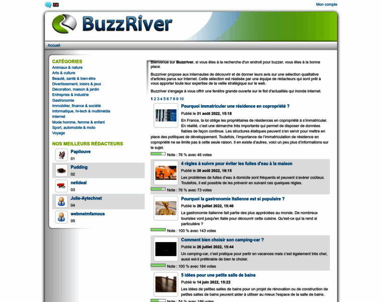 Buzzriver.fr thumbnail