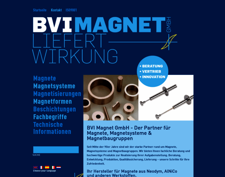 Bvi-magnete.de thumbnail
