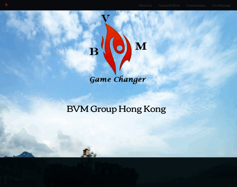 Bvmgroup.org thumbnail