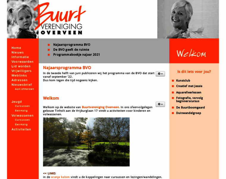 Bvo-tinholt.nl thumbnail