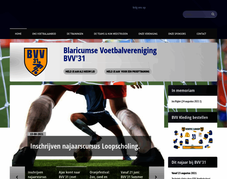 Bvv31.nl thumbnail