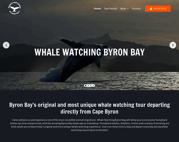 Byronbaywhalewatching.com.au thumbnail