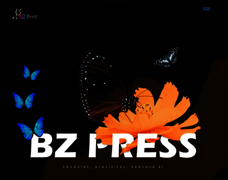Bzpress.hu thumbnail