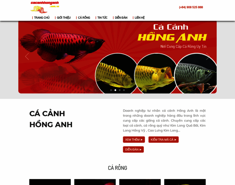Cacanhhonganh.com.vn thumbnail