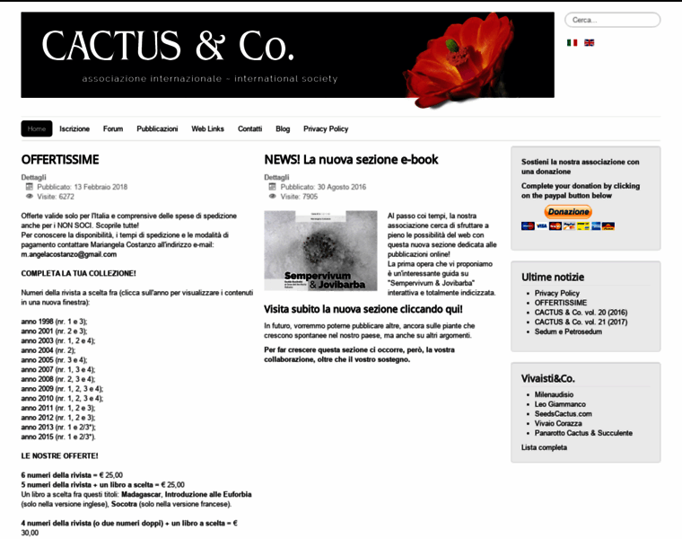 Cactus-co.com thumbnail