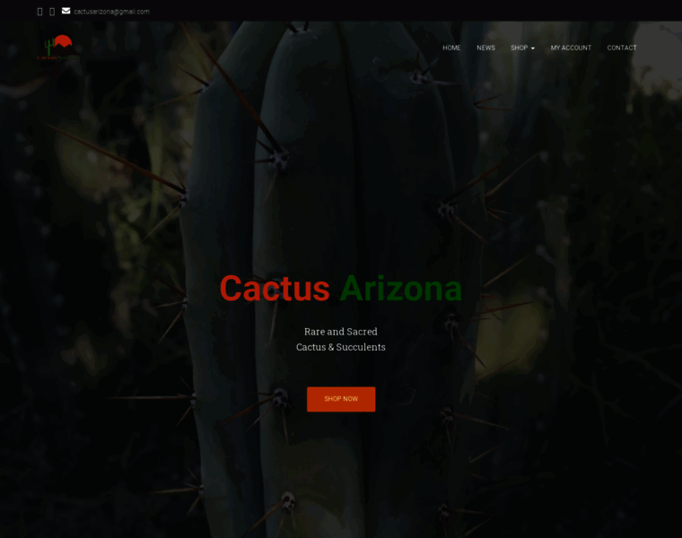 Cactusarizona.com thumbnail