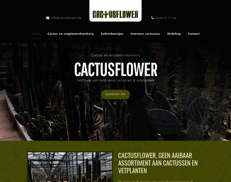 Cactusflower.be thumbnail