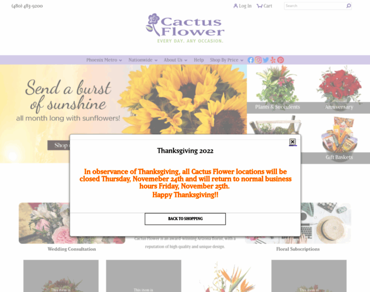 Cactusflower.com thumbnail