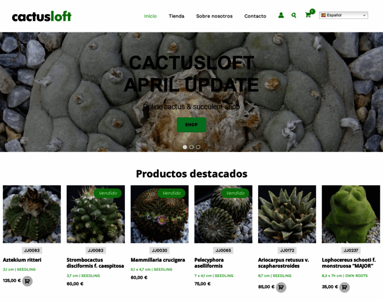 Cactusloft.com thumbnail