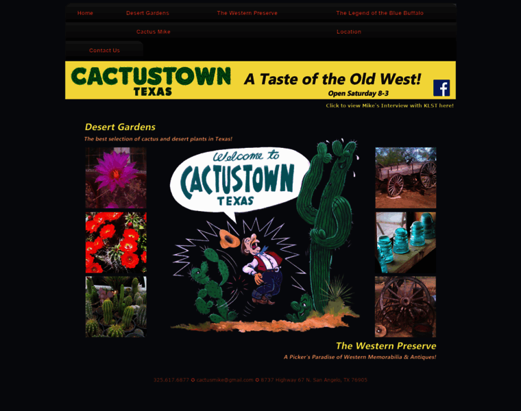 Cactustowntexas.com thumbnail