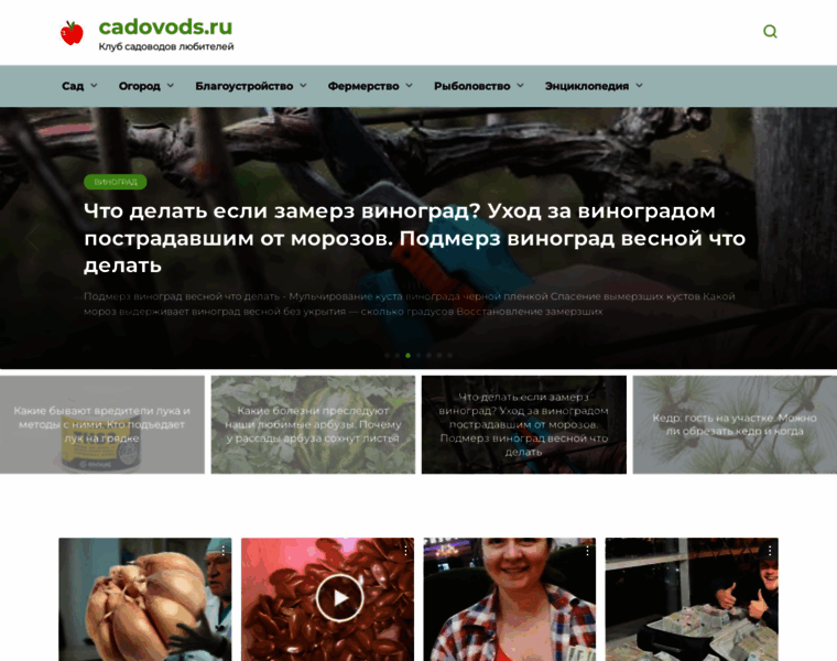 Cadovods.ru thumbnail