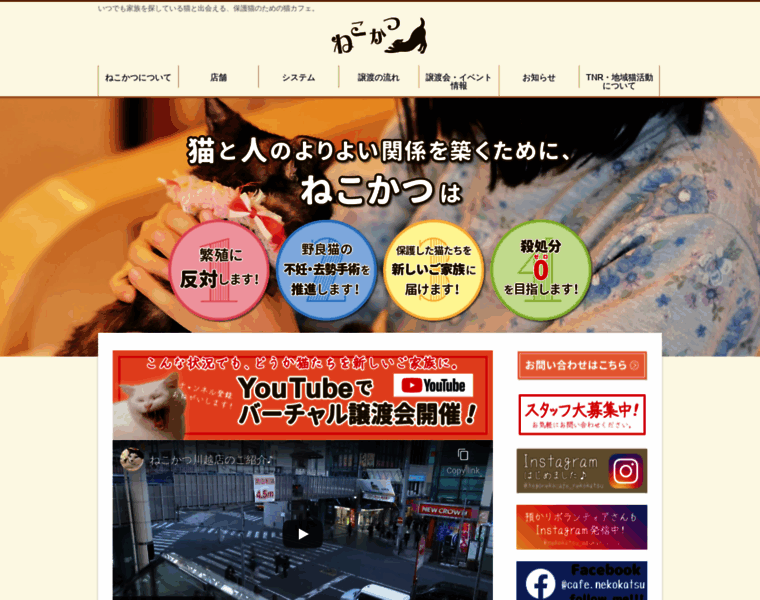 Cafe-nekokatsu.com thumbnail