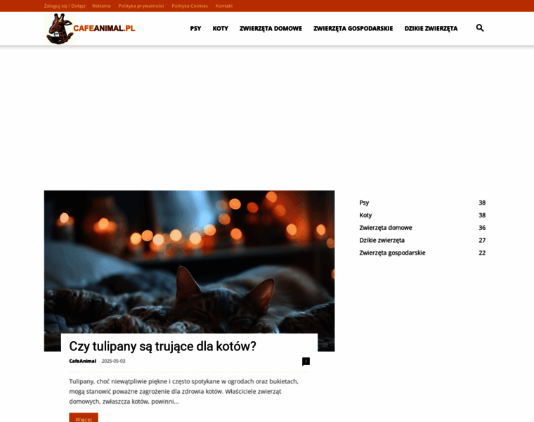 Cafeanimal.pl thumbnail Cafeanimal.pl thumbnail