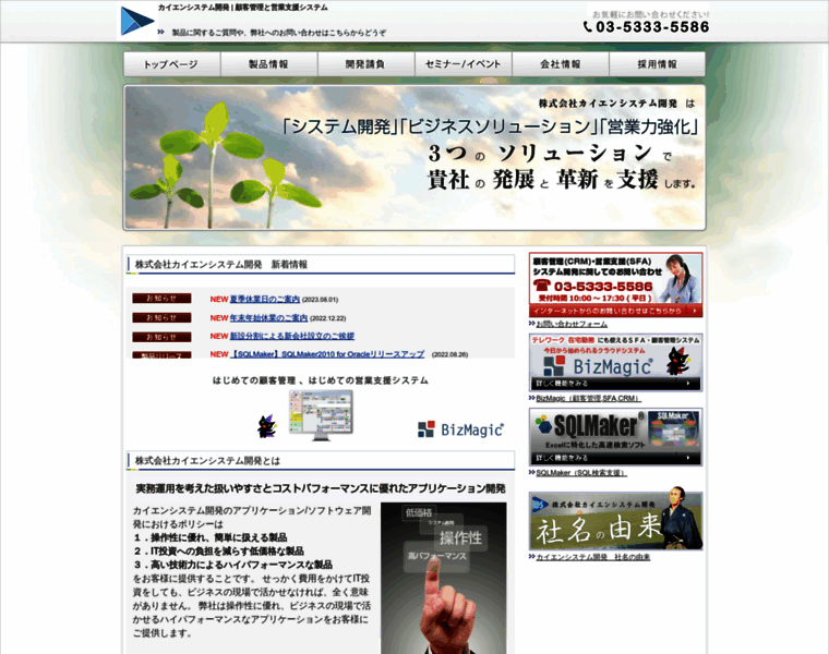 Caien.co.jp thumbnail