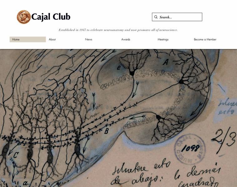 Cajalclub.org thumbnail