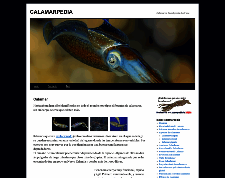Calamarpedia.com thumbnail