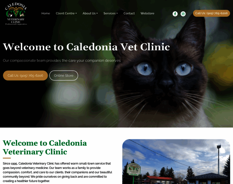 Caledoniaveterinaryclinic.ca thumbnail