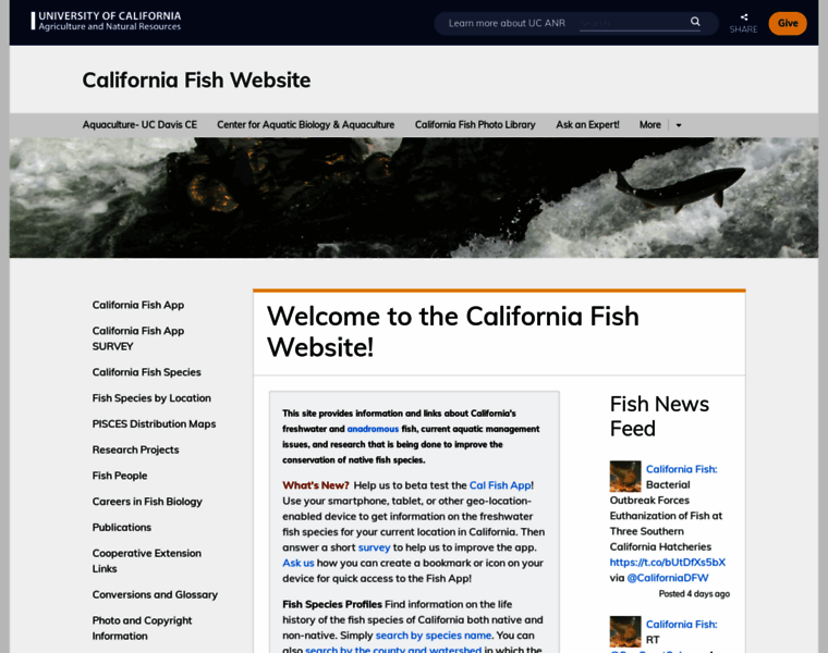Calfish.ucdavis.edu thumbnail