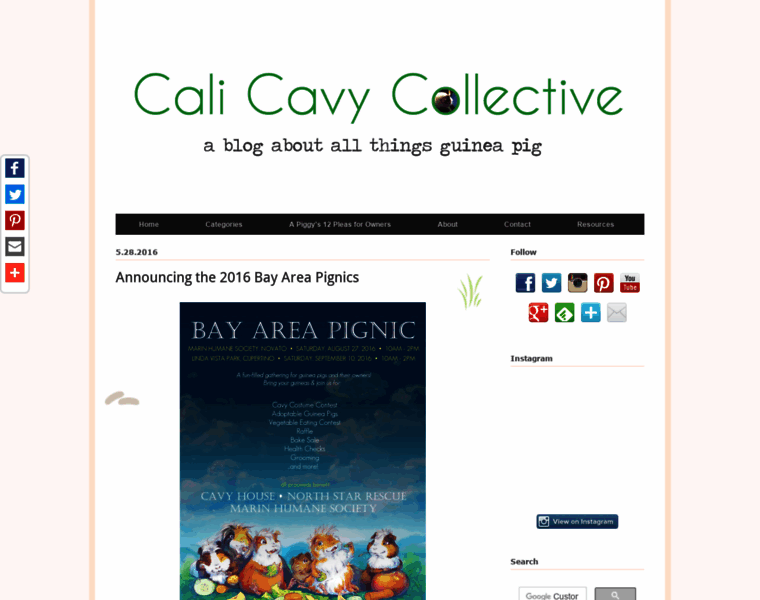 Calicavycollective.com thumbnail