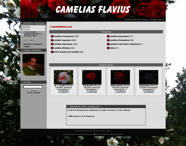 Cameliasflavius.com thumbnail