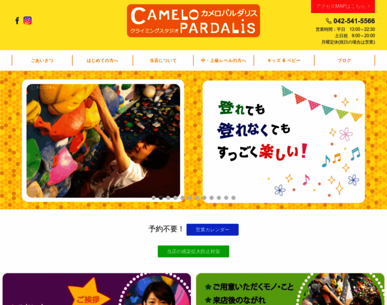Camelopardalis-tokyo.com thumbnail