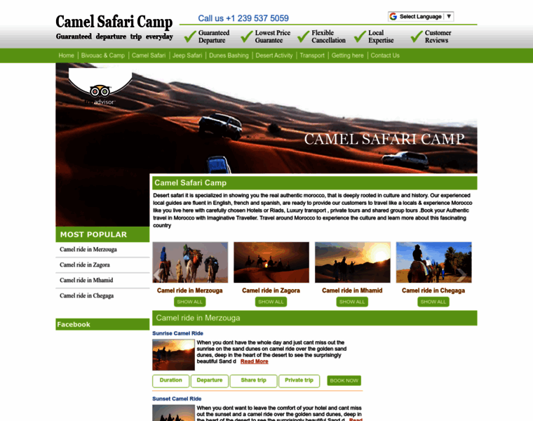 Camelsafaricamp.com thumbnail