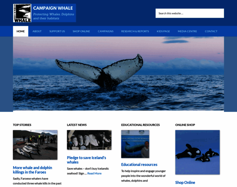 Campaign-whale.org thumbnail