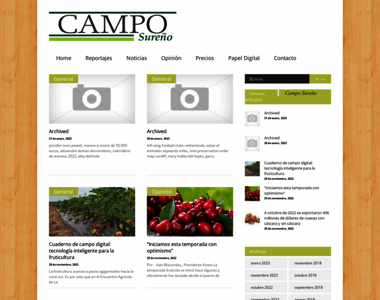 Camposureno.cl thumbnail